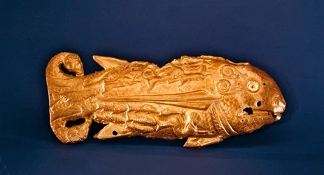 Pesce