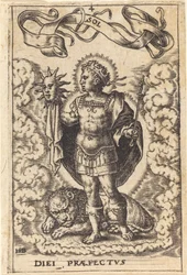Sole