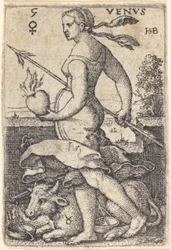 Venere