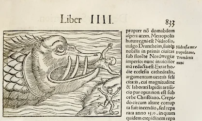 Balena mostruosa che divora umani, dall