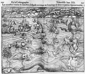 Mostri marini e terrestri, illustrazione dalla Cosmographia Universalis di Sebastian Munster (1489-1552)