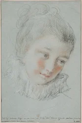 Testa di giovane donna