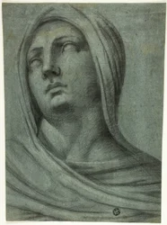 Testa e Spalle di Donna Velata