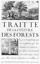 Ms 260 tomo IV Frontespizio di 