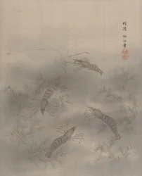 Gambero Ebi, ca. 1890-92