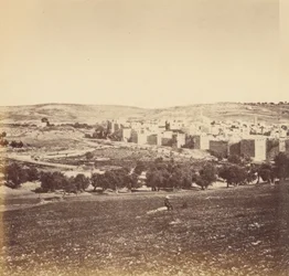 Vista Panoramica della Città
