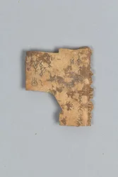 Frammento di osso divinatorio (conchiglia)