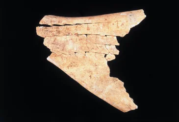 Pittogramma su una scapola di bue con un rituale per allontanare il pericolo