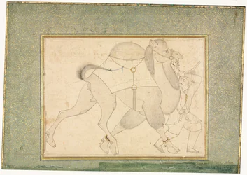 Cammello e Stalliere, Illustrazione a Pagina Singola, c. 1545-1576