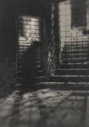Misteriose scale chiuse da un cancello
