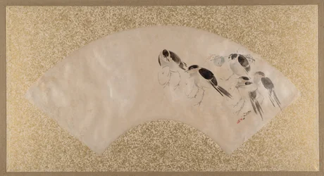 Uccelli