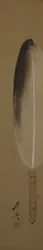 Piuma