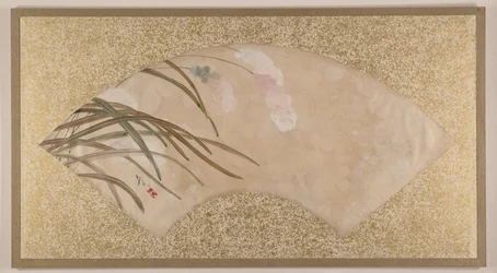 Fiori e foglie
