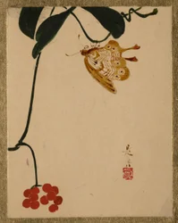 Pianta con bacche rosse e farfalla