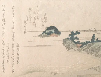 Isola delle Tartarughe e Fujiyama