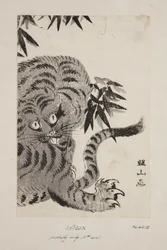 Tigre (stampa xilografica a colori)