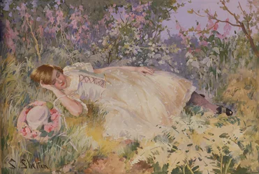 Dormire tra i volpini