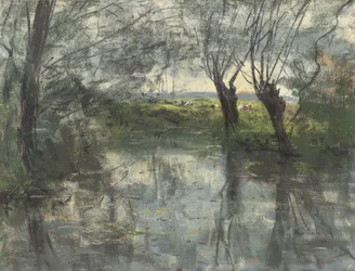 Stagno nel bosco