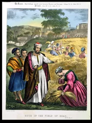 Ruth nel Campo di Boaz, da una bibbia stampata da Edward Gover, 1870