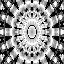 Sinfonia in bianco e nero