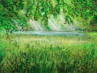 Ombrello naturale