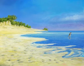 Corsa sulla Spiaggia