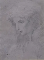 Testa allegorica