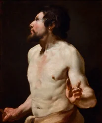Studio di torso dalla scuola di Simon Vouet