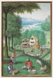 Miniatura del calendario per giugno che mostra due uomini che tosano pecore, con un cottage sullo sfondo