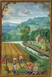 Add 18855 Settembre: raccolta, aratura e semina, da un Libro d