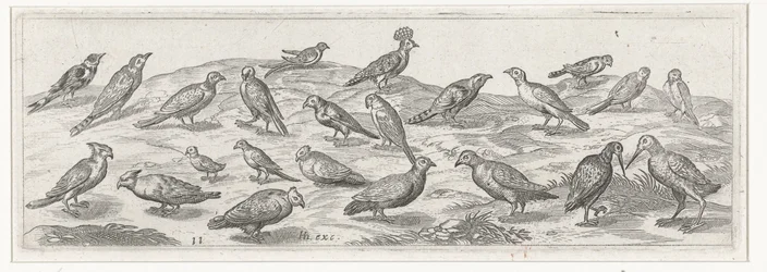 Paesaggio con diversi tipi di uccelli
