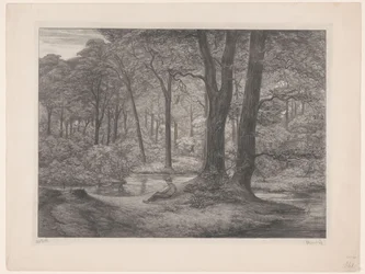 Bosco con stagno e uomo sdraiato