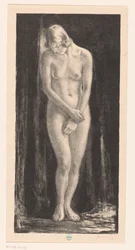 Donna nuda in piedi