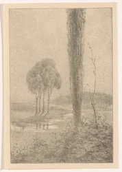 Paesaggio con alberi e ruscello