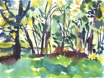 Giardino e zona umida (acquerello su carta)