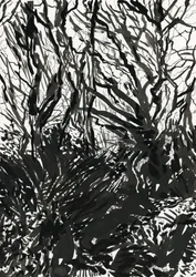 Ham Common Woods (inchiostro e grafite su carta)
