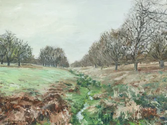 Richmond Park (olio su lino)
