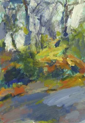 Strada con alberi e cespugli