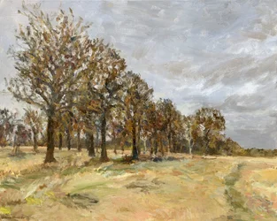 Bosco, Richmond Park n. 6, 2022