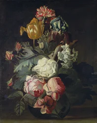 Immagine sconosciuta