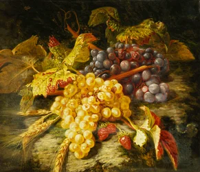 Uva, grano barbuto e fragole su un bordo roccioso, 1849