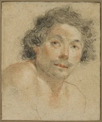 Ritratto busto di un giovane