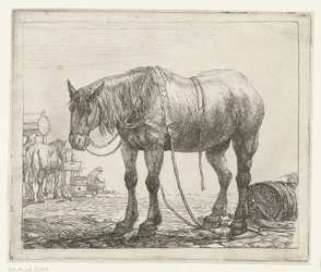 Cavallo da lavoro a riposo