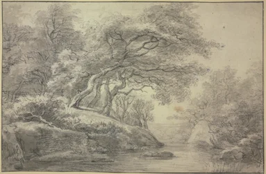 Ruscello al margine del bosco