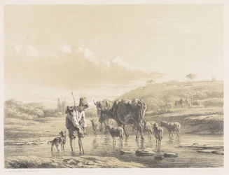 Giovane pastore con gregge in acqua bassa