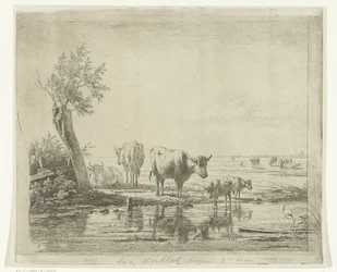 Paesaggio di pascolo con mucche vicino all