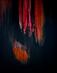 Braci di fuoco