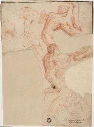 Schizzi di nudi maschili, gambe (recto); schizzi di nudi maschili (verso)