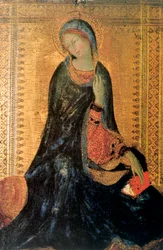Madonna dell