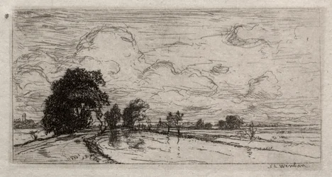 Paesaggio allagato con alberi